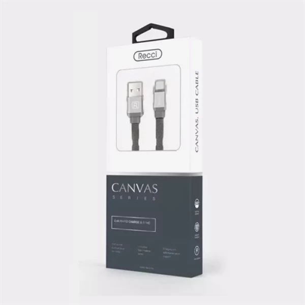 کابل Type C رسی Recci RCT-Y100 Canvas Type-C Cable