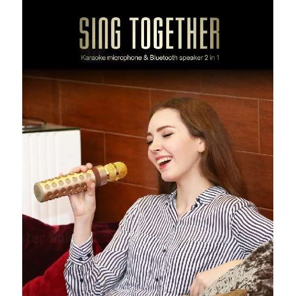 میکروفون بی سیم و اسپیکر بلوتوث راک اسپیس rock space RAU0582 Karaoke