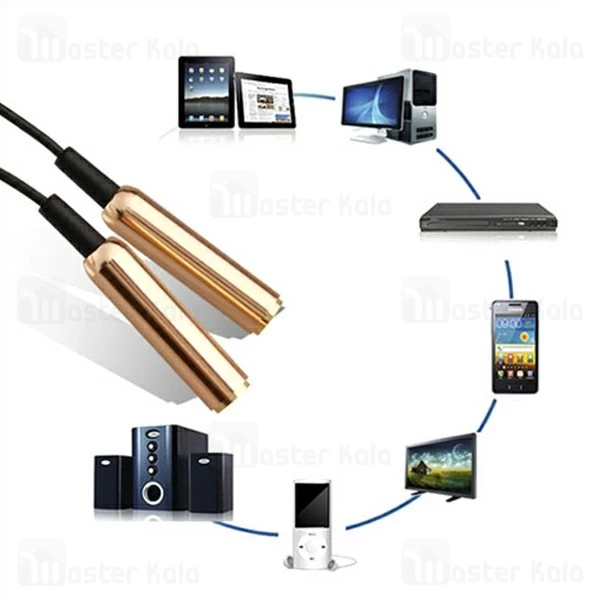 کابل تبدیل 1 به 2 AUX ارلدام Earldom ET-AUX201 به طول 40 سانتی متر