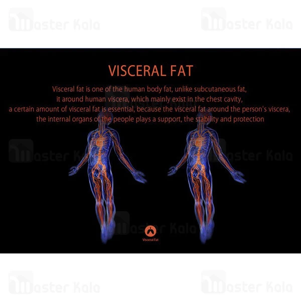 ترازو Lenovo Smart Scale HS10