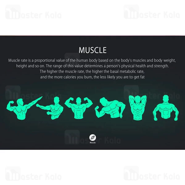 ترازو Lenovo Smart Scale HS10