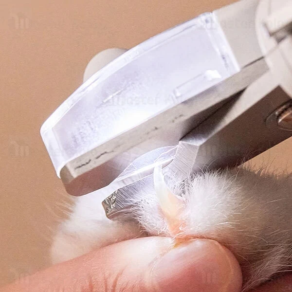 ناخن گیر سگ و گربه شیائومی Xiaomi PETKIT LED Light Pet Nail Clipper