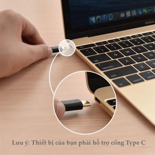 کابل Type C به USB یوگرین UGreen US141 30166