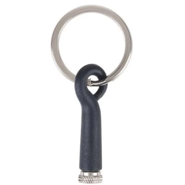 ریموت هوشمند بیسوس Telecontrol Elves Red Nail