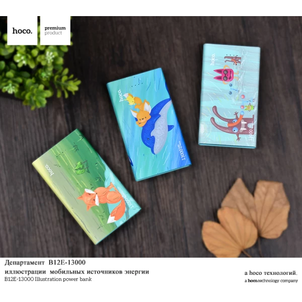 پاوربانک 13000 میلی آمپر هوکو مدل Hoco B12E