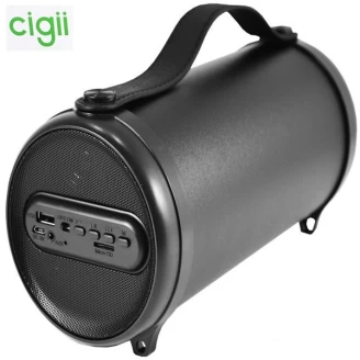 اسپیکر بلوتوث سی جی Cigii S11E