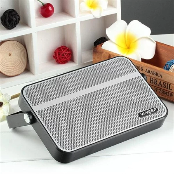 اسپیکر بلوتوث دبلیو کینگ W-King T9